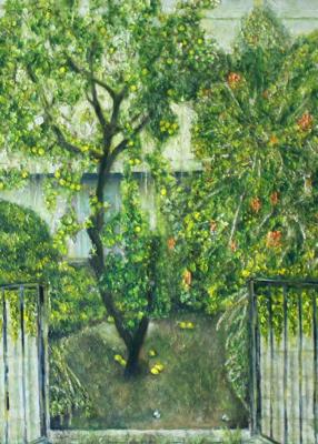 A front garden with a lemon tree.Jerusalem. Vlasov Vyacheslav