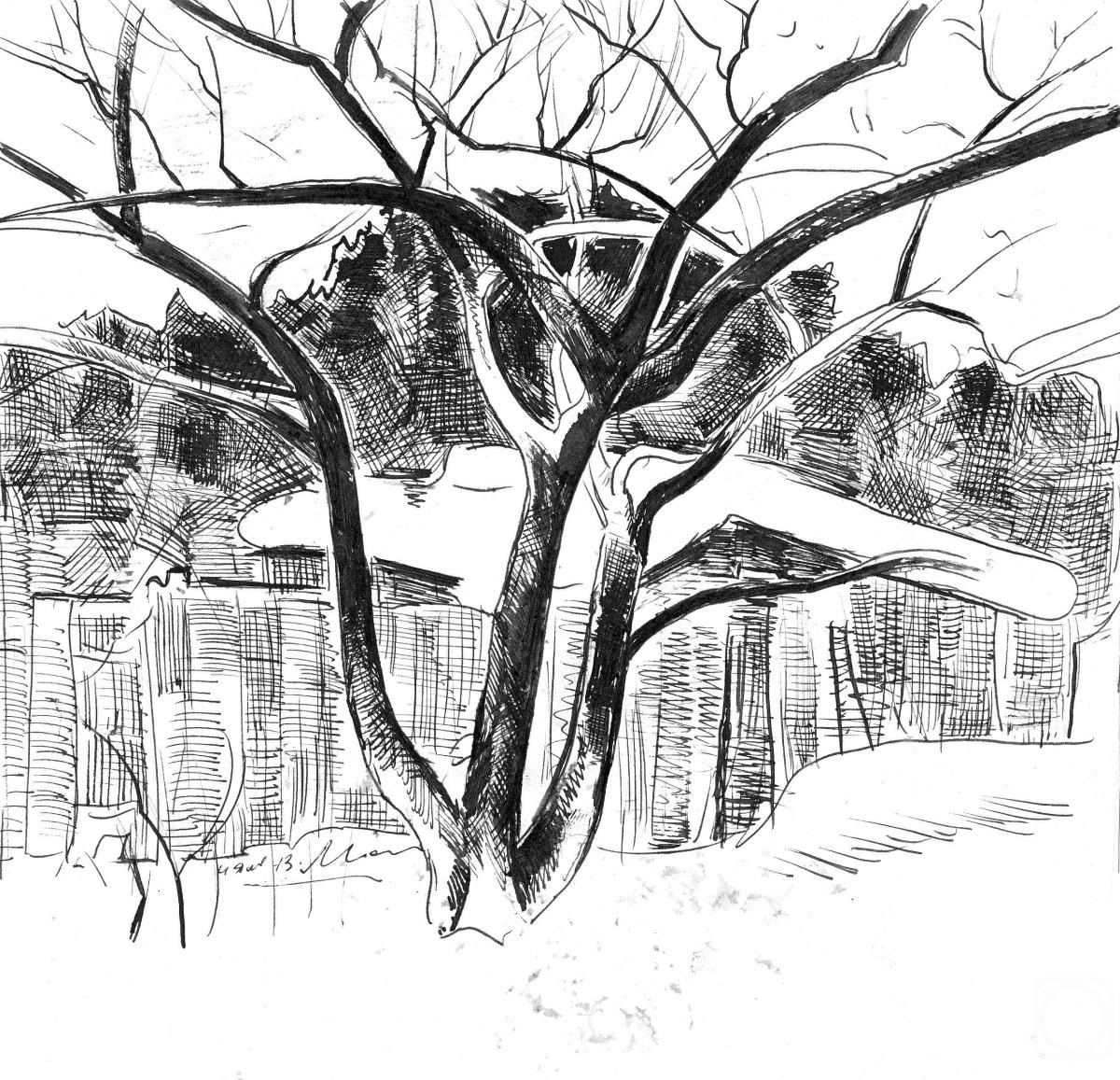 �������. ����� �����. ������