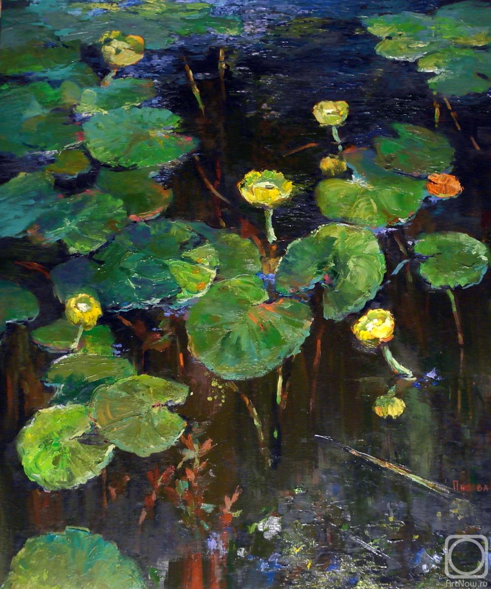 ������� ������ �� ������. ������ ���������. ����