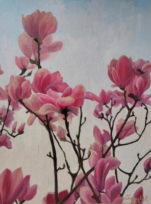 Magnolias. Drobenkova Elena