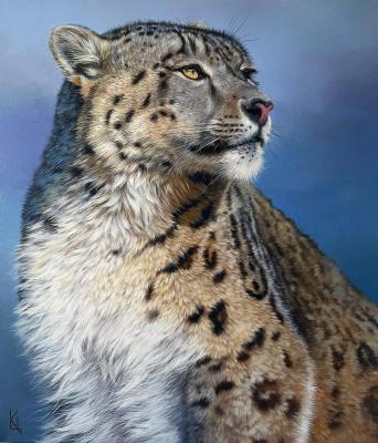 Snow Leopard. Tsapalina Ekaterina