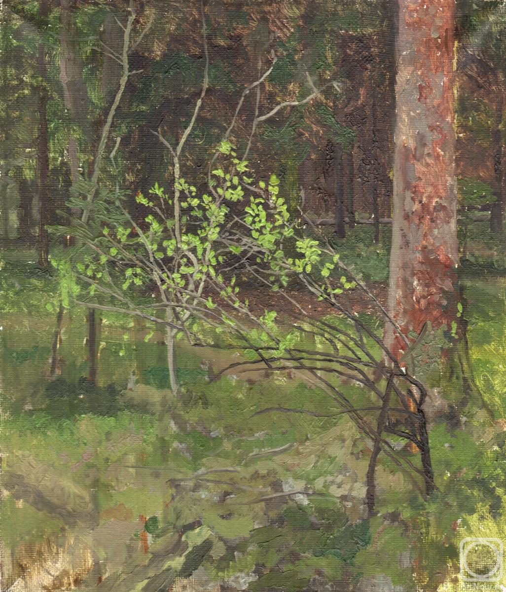 ������� ������ �� ������. ����� �����. �����