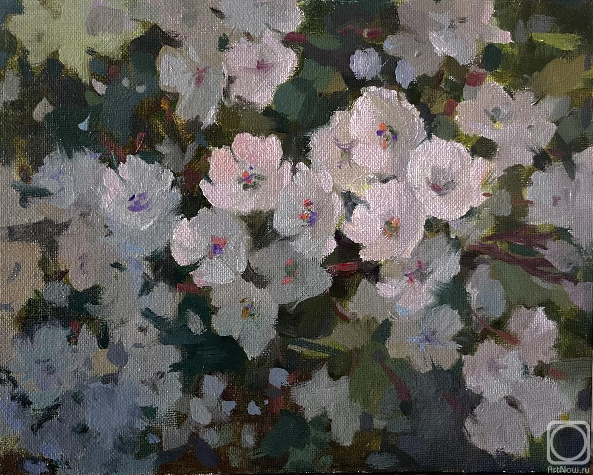 Nepokytaya Julia. Untitled