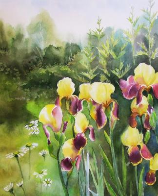 Yellow irises. Levina Galina