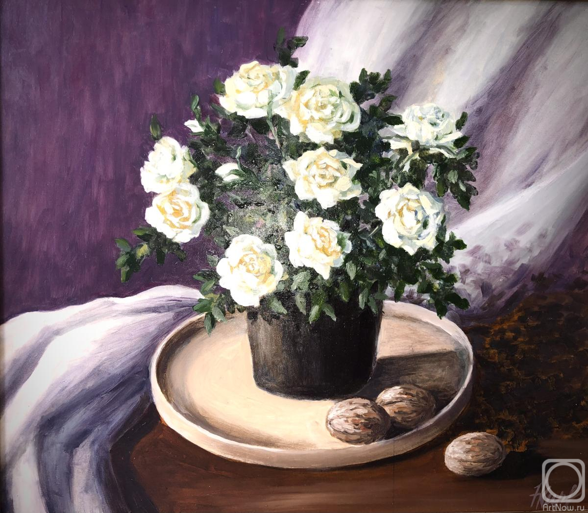 �������. �������� �������. ����� ������� � �������� �������