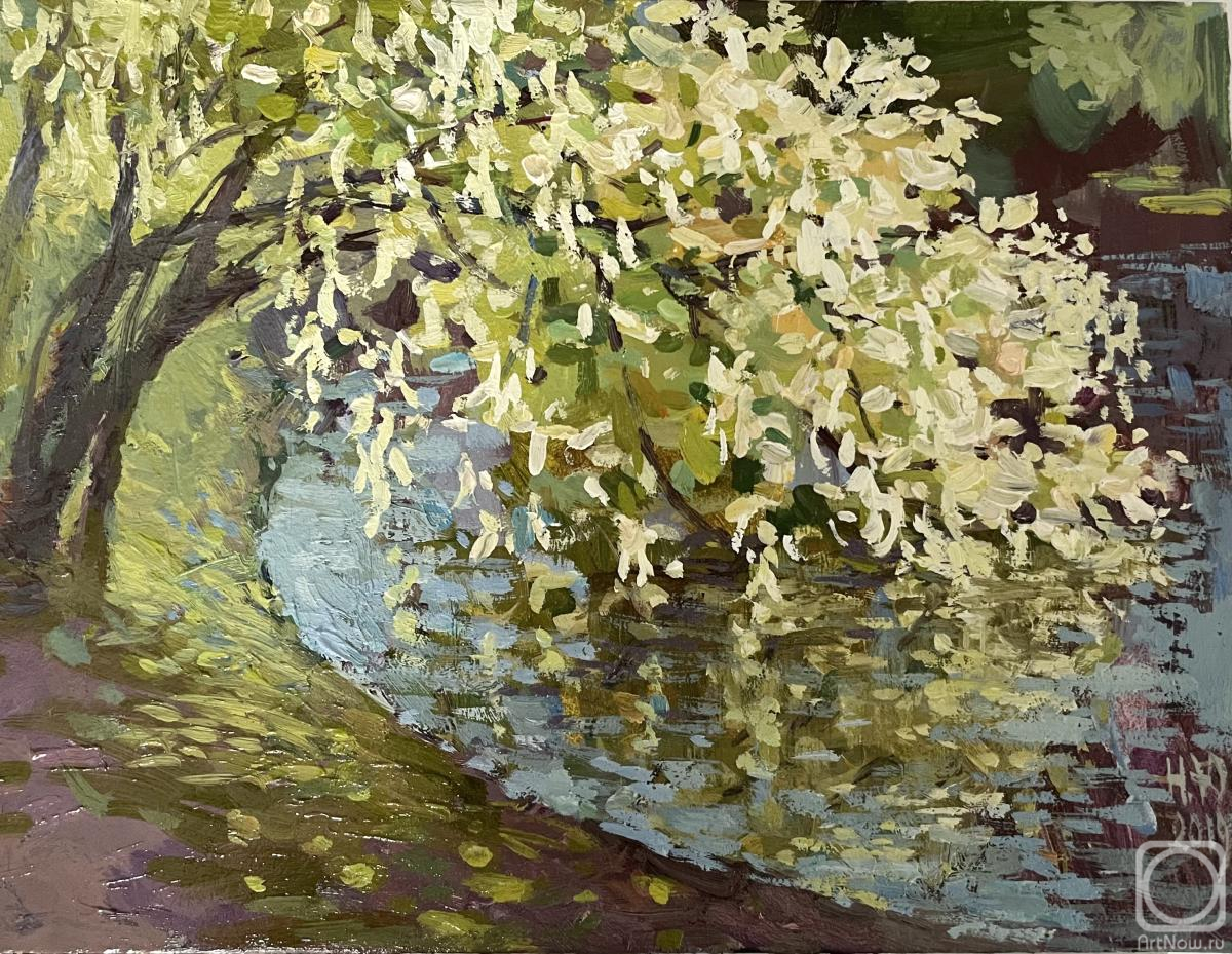 �������. ���������� ����. ������ ����