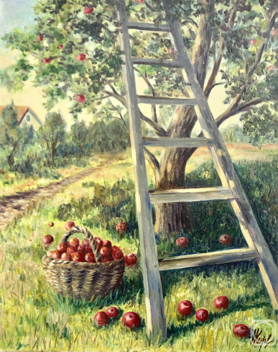 Kirilina Nadezhda. Apple harvest
