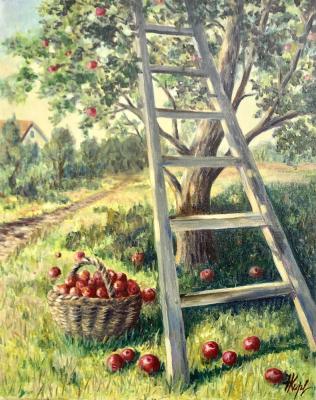 Apple harvest. Kirilina Nadezhda