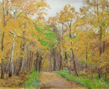 ������� ������ � �������