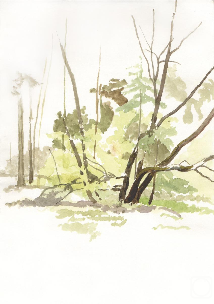 �������. ����� �����. ����� (����)