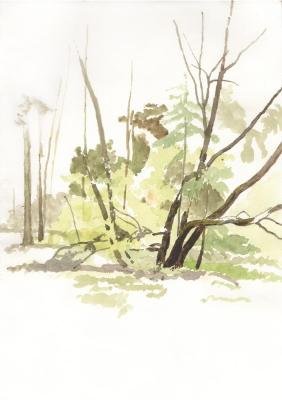 ������� ������ (����)�