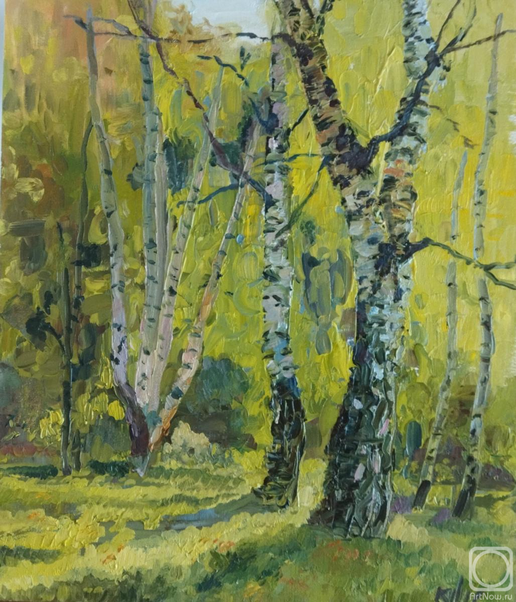 Kylych Lyudmila. Between birches