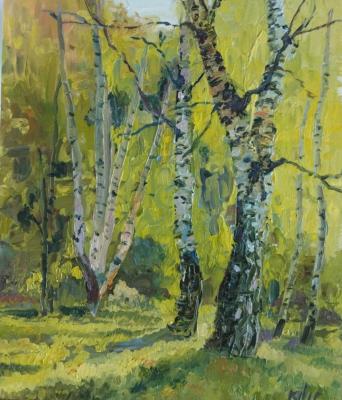 Between birches. Kylych Lyudmila