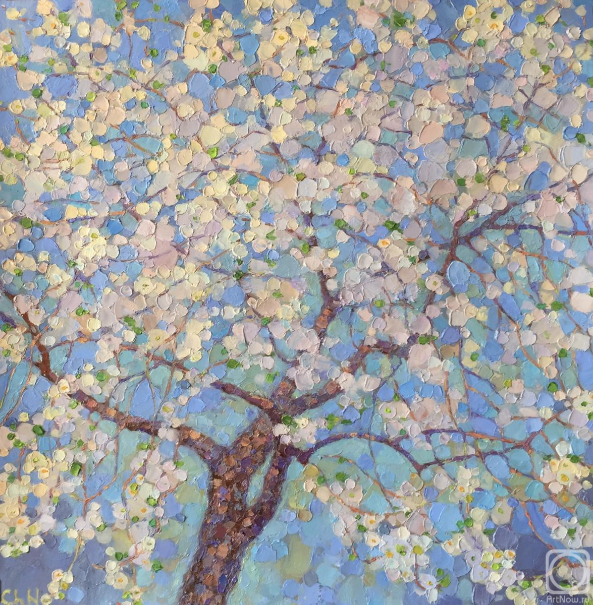 Chepulskaya Nataliya. Cherry tree