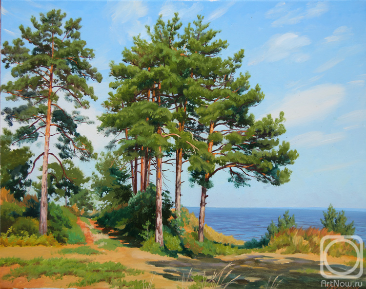 Gaifullin Airat. Young pines on the Volga
