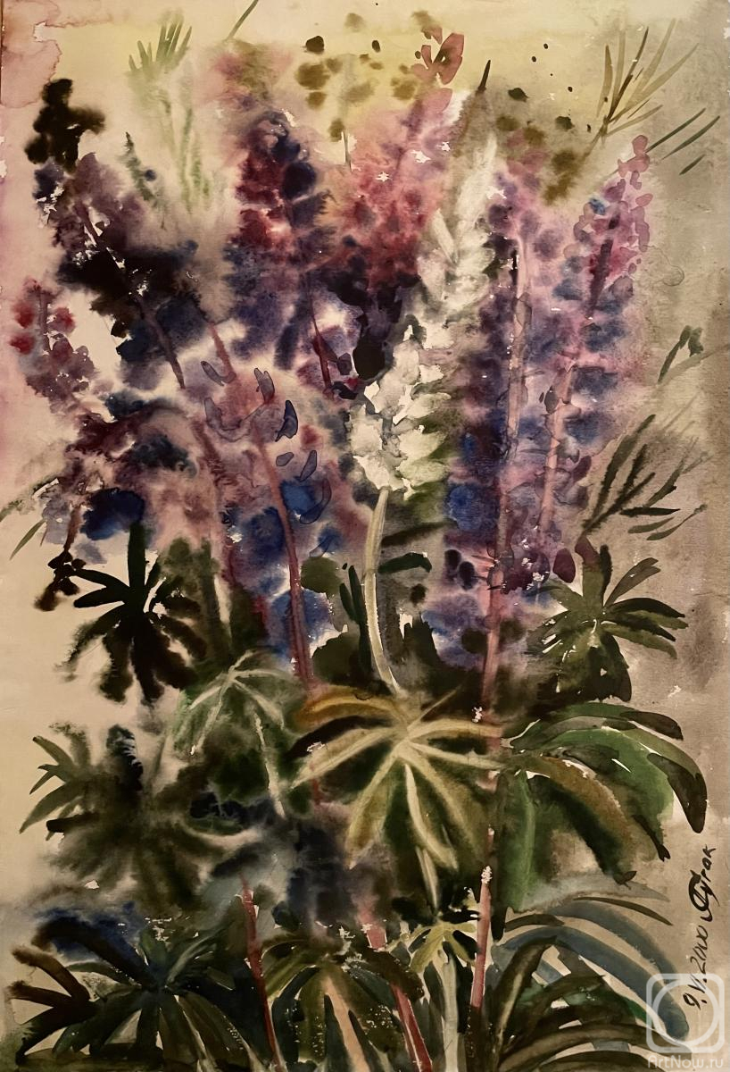 �������. ����� ������. ������