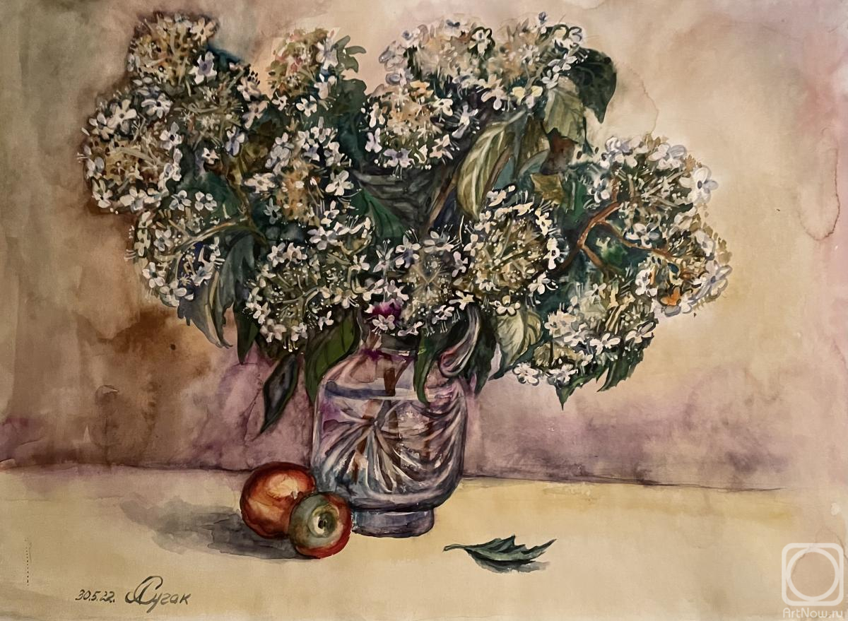 �������. ����� ������. ������ � �����