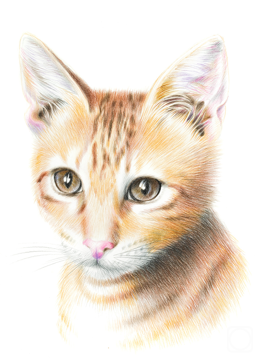 Khrapkova Svetlana. Untitled