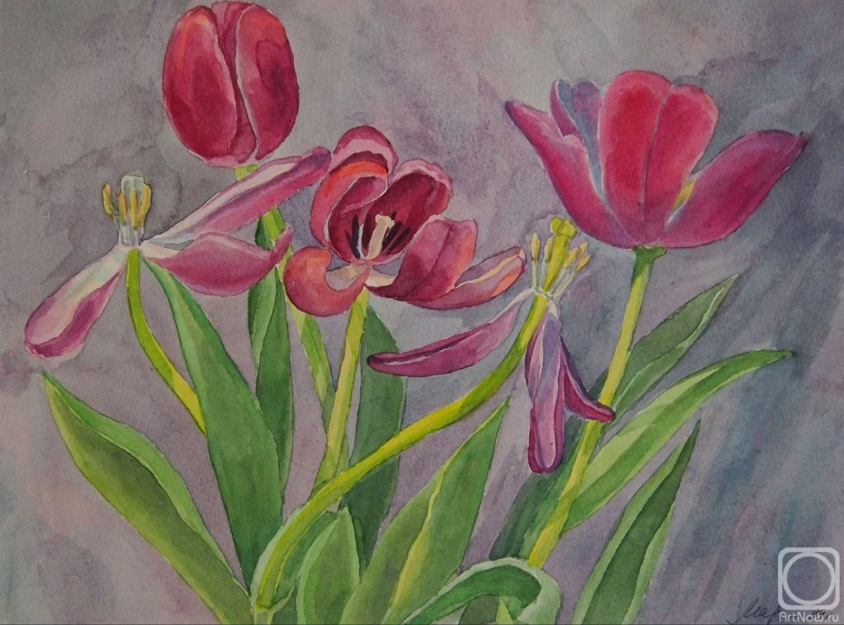 Markova Tatyana. Tulip life