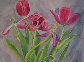 Tulip life. Markova Tatyana