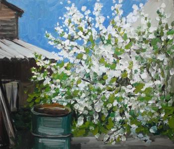 Cherry blossom (Flowering Apple Tree). Fyodorova-Popova Tatyana