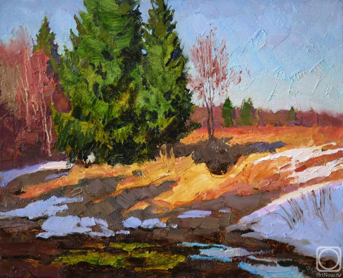 Panteleev Sergey. The last patches of snow