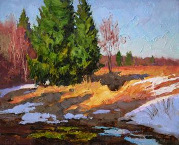 The last patches of snow. Panteleev Sergey