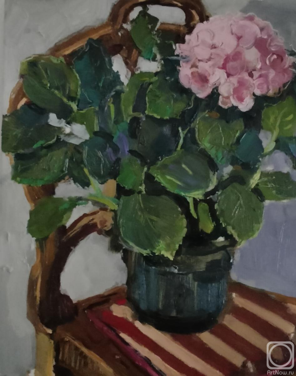 ������� ������ �� ������. ������� �������. ��������� ,2