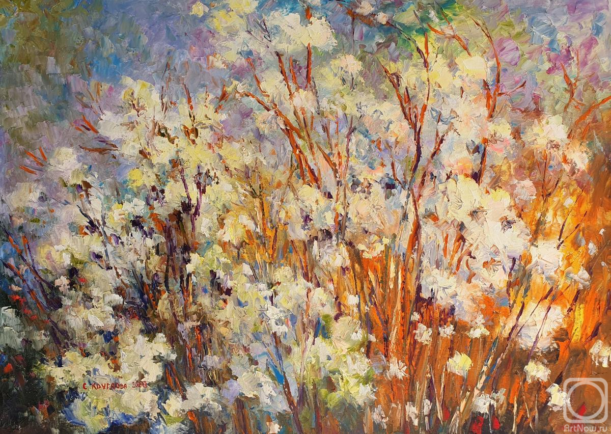 ������� ������ �� ������. �������� ��������. ���������� �� ������