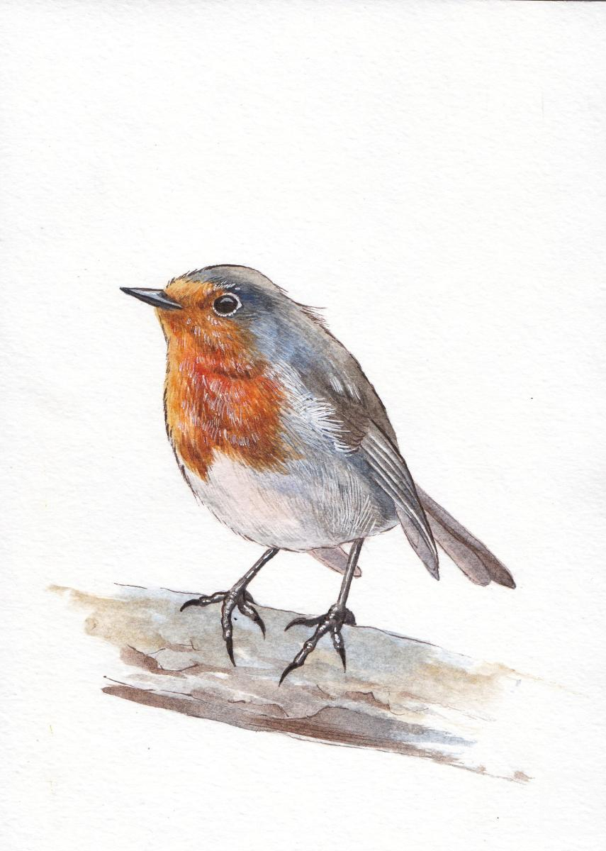 �������. �������� ���������. �����. �������