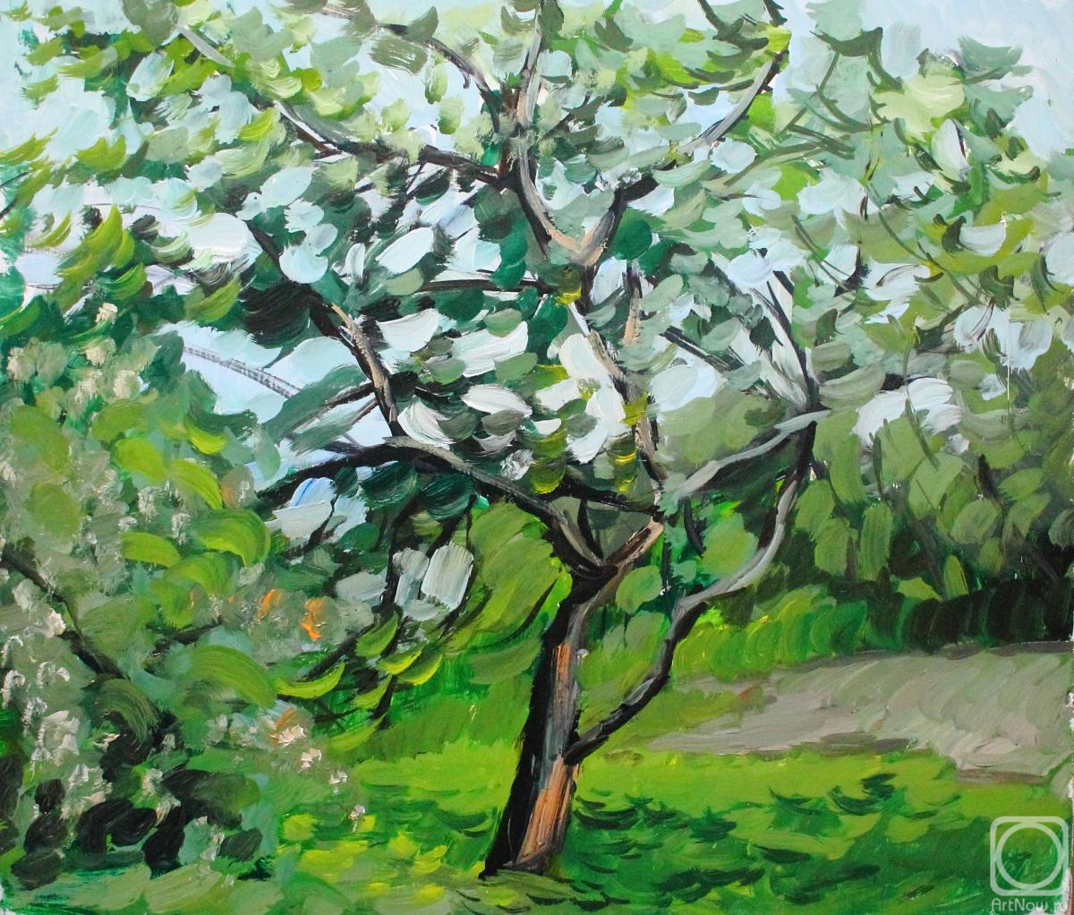 Fyodorova-Popova Tatyana. Apple tree in the wind