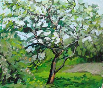 Apple tree in the wind (Spring Foliage). Fyodorova-Popova Tatyana