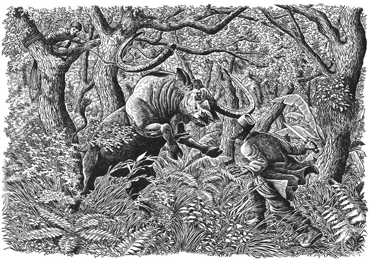 �������. ����� �������. ������ ������