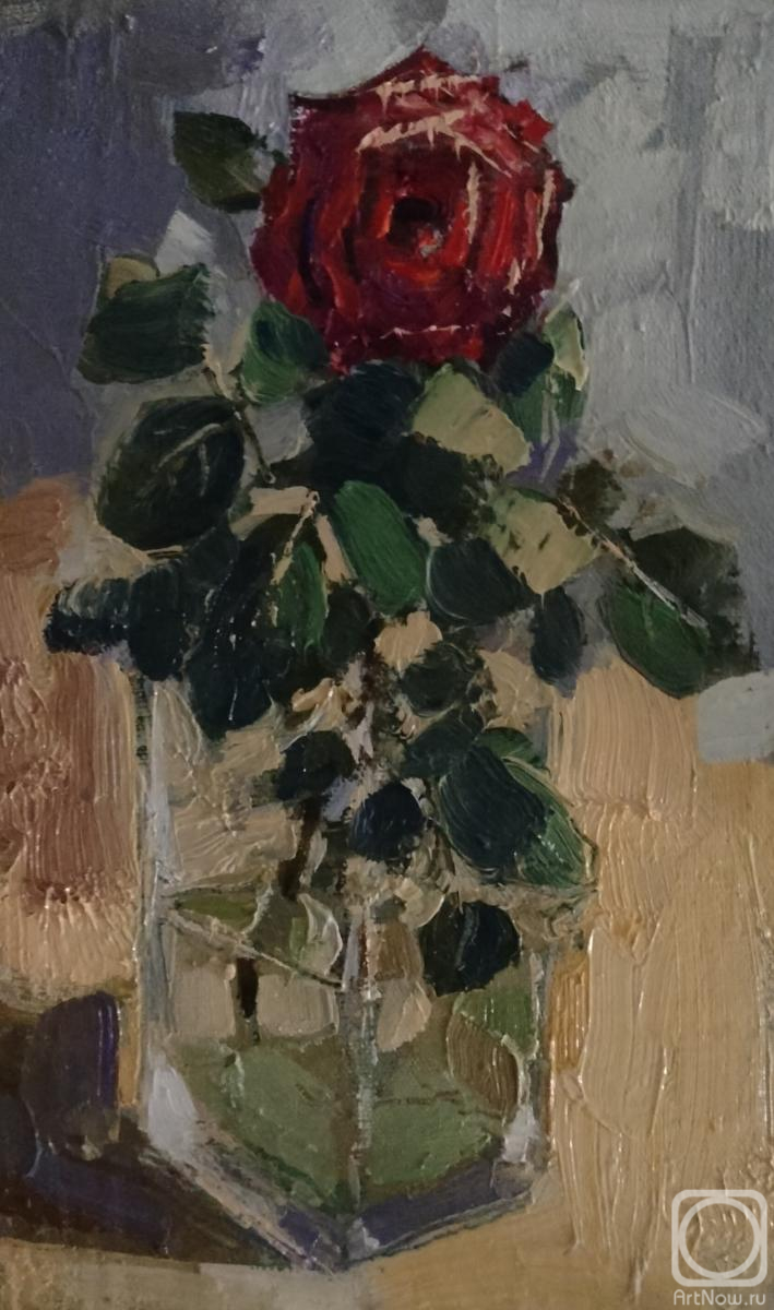 ������� ������ �� ������. ������� �������. ���������