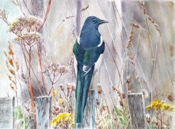 � �������. ��������� �������