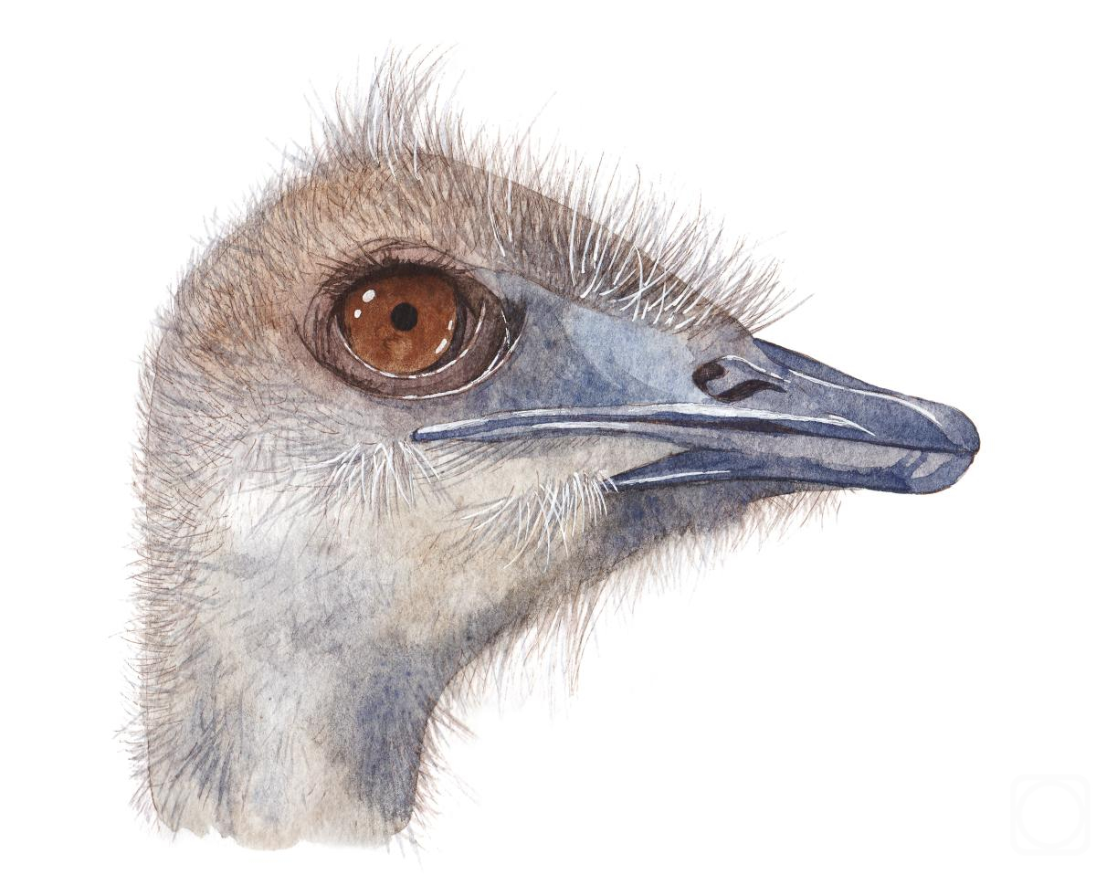 �������. �������� ���������. �����. ������ �������