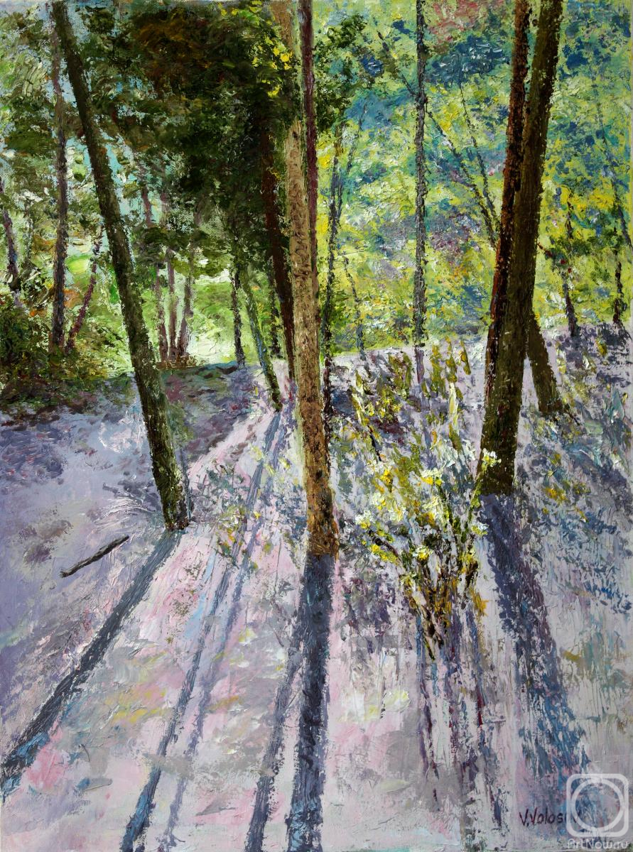 Volosov Vladmir. Sunny forest