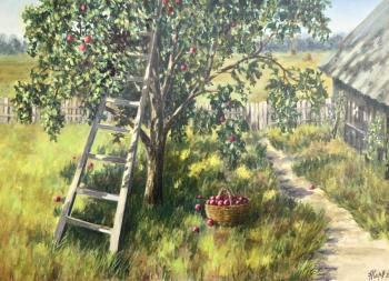 Red apples (Summer Rustic Landscape). Kirilina Nadezhda