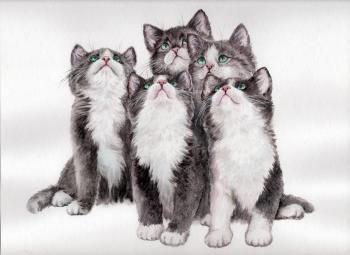 Cute kittens. Matyunina Olga