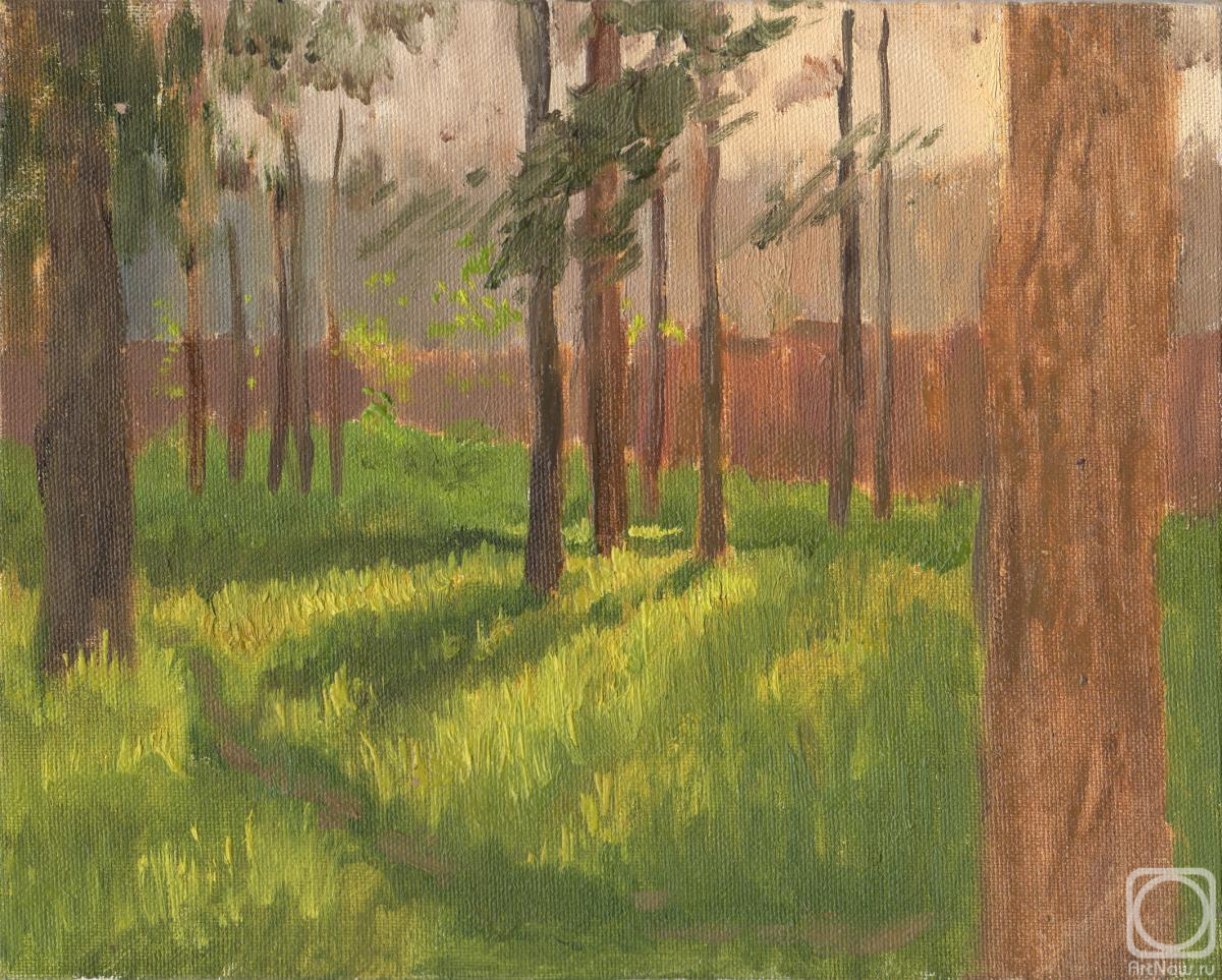 Mashin Igor. Summer evening