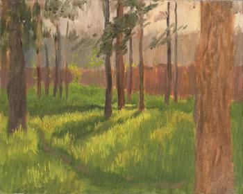 Summer evening. Mashin Igor