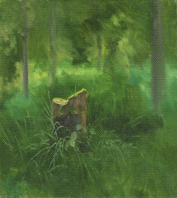 Forest sketch. Mashin Igor