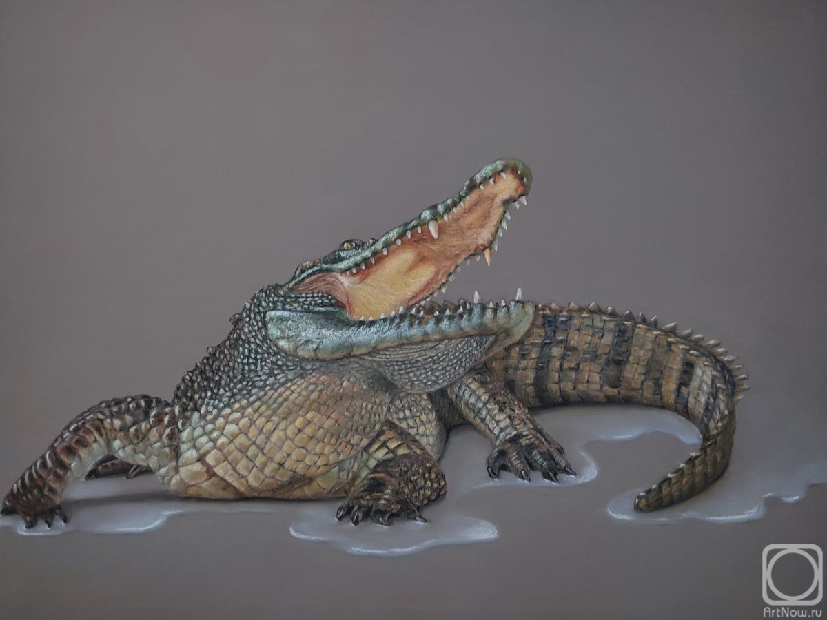 �������. ���������� ������. �������� ��