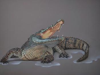 Crocodile Ge (Reptile). Kukhtenkova Galina