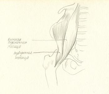 ����� ������ ����������� (������� ���������� � ����������� ����� - �������). �����-����� ����