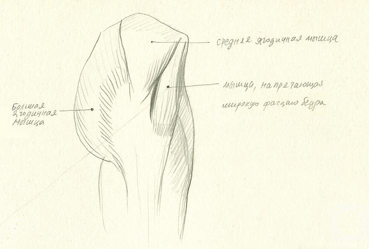 �������. �����-����� ����. ����� ������ ����������� (������� ��������� � ��. �����)