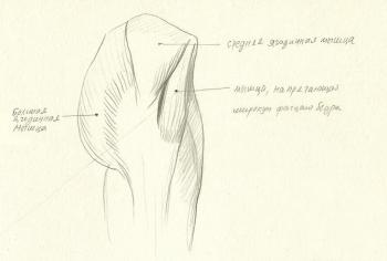 ����� ������ ����������� (������� ��������� � ��. �����). �����-����� ����