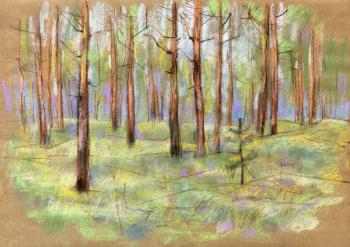 ������� �� ����