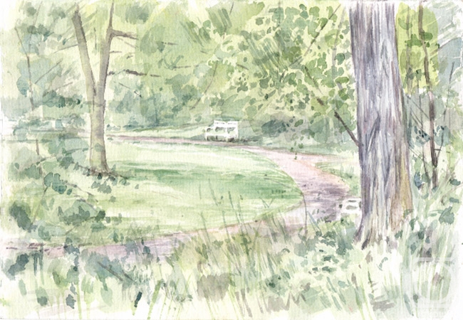 �������. ������� ����. ����