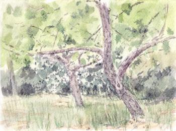 ������� ���������